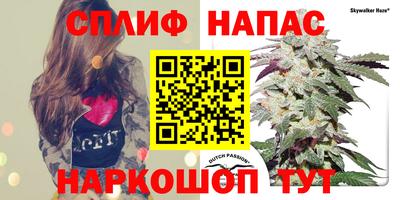 синтетический гашиш Камышлов