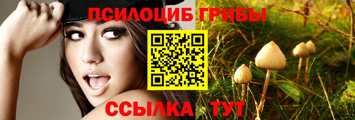Химки  Галлюциногенные грибы GOLDEN TEACHER  Вход с VPN 
